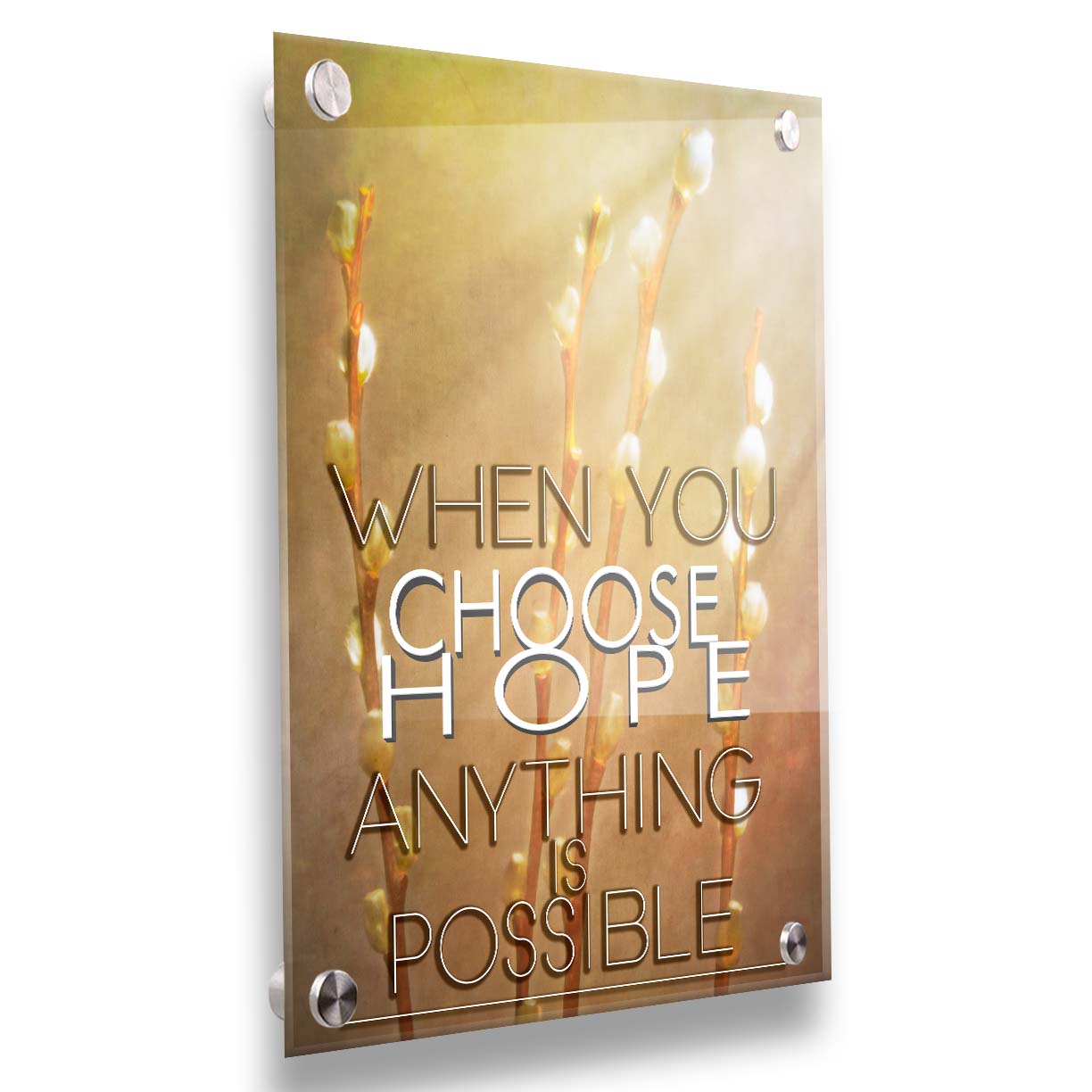 A photo of four stems of plant buds bathed in golden light. The phrase "When you choose hope, anything is possible" is superimposed on the center. Printed on acrylic.