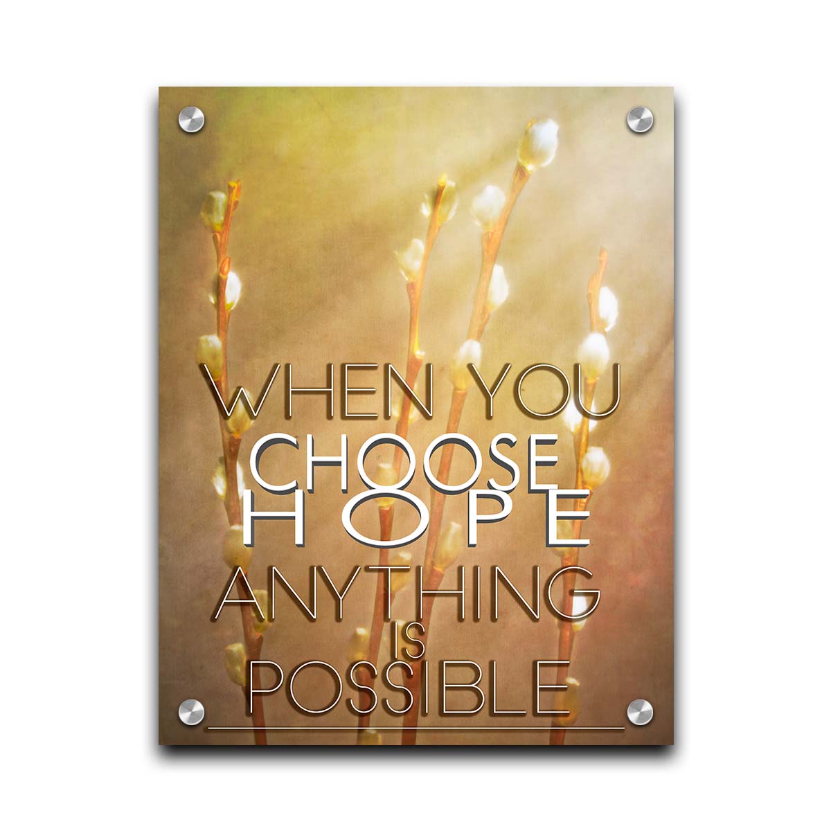 A photo of four stems of plant buds bathed in golden light. The phrase "When you choose hope, anything is possible" is superimposed on the center. Printed on acrylic.