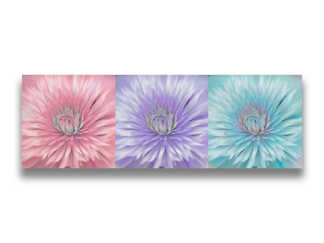 A closeup photo of a clematis flower, repeated and edited into a pink, purple, and blue collage. Printed on canvas.