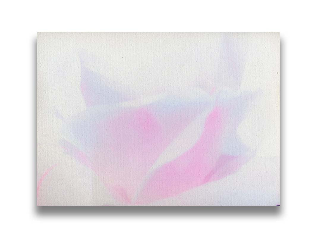 A photo of a flower in pink, blue, and white. Printed on canvas.