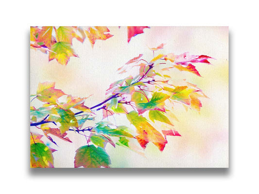 A photo of a branch of leaved turning yellow and red against a bright background. Printed on canvas.