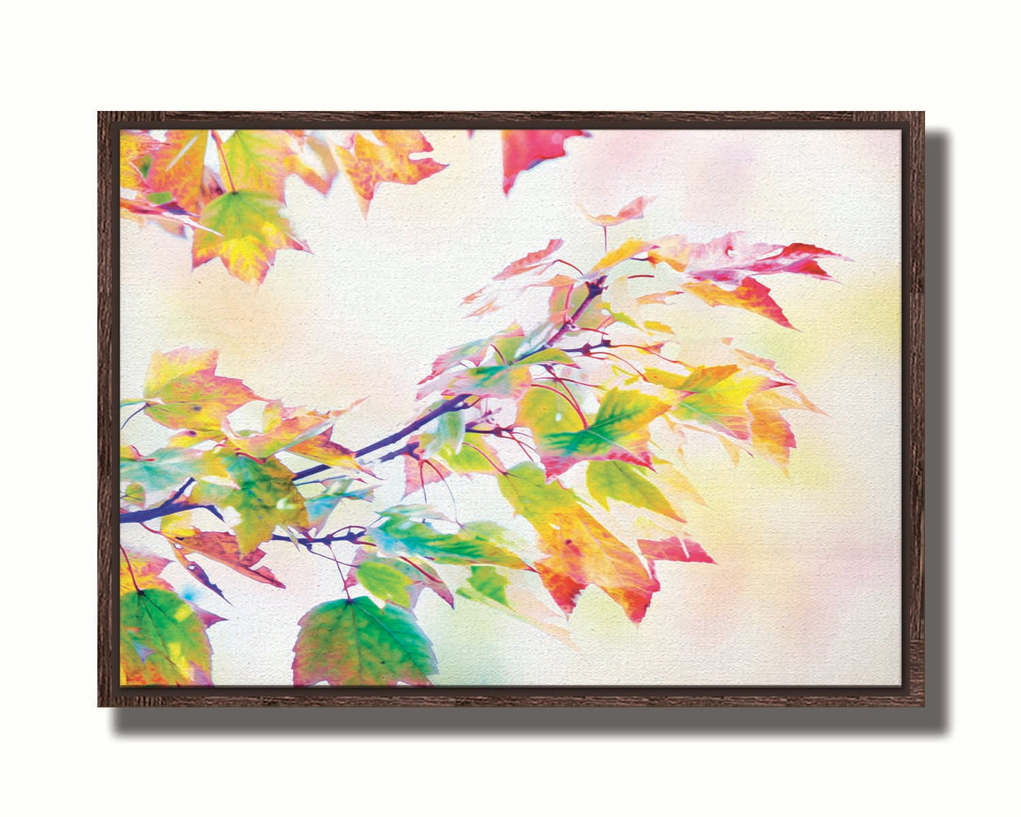 A photo of a branch of leaved turning yellow and red against a bright background. Printed on canvas in a float frame.