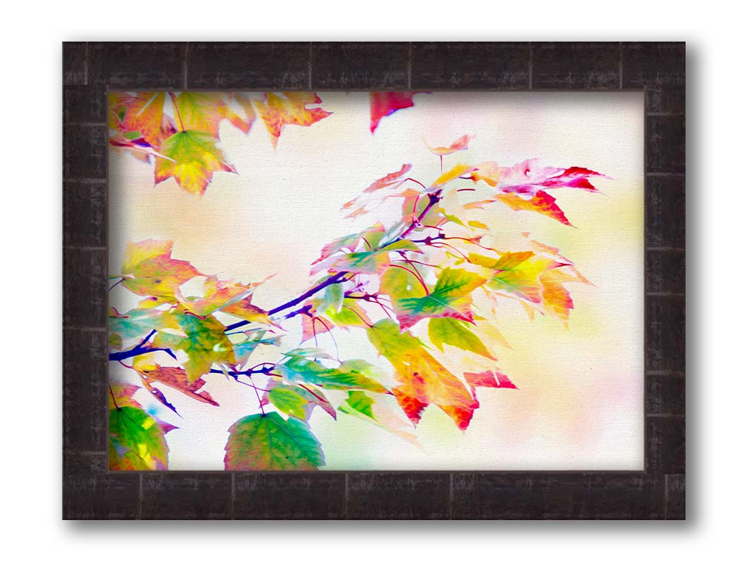 A photo of a branch of leaved turning yellow and red against a bright background. Printed on canvas and framed.