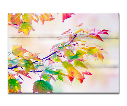 A photo of a branch of leaved turning yellow and red against a bright background. Printed on a box board.