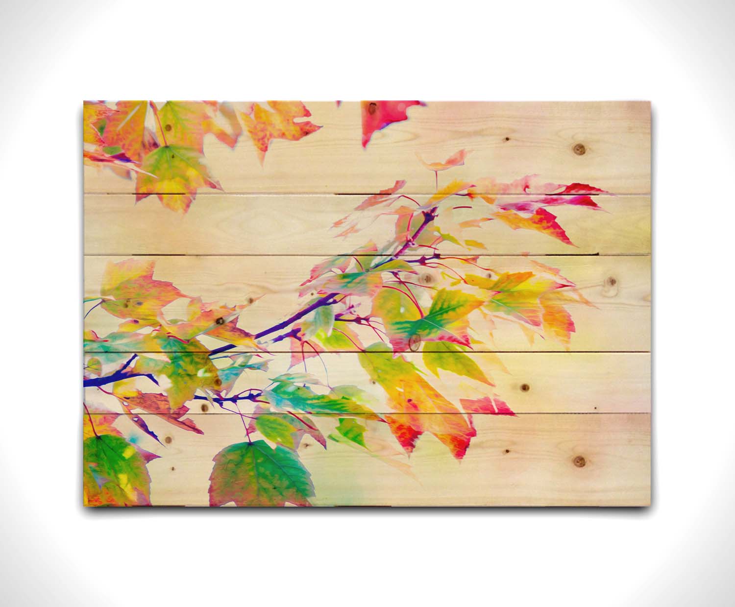 A photo of a branch of leaved turning yellow and red against a bright background. Printed on a wood pallet.