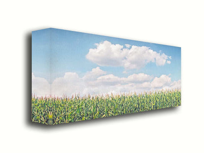 A photo of a corn field under a blue sky with fluffy white clouds. Printed on canvas.