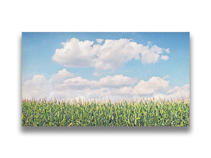 A photo of a corn field under a blue sky with fluffy white clouds. Printed on canvas.