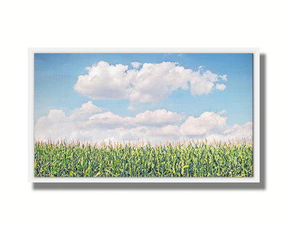 A photo of a corn field under a blue sky with fluffy white clouds. Printed on canvas in a float frame.