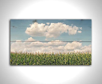 A photo of a corn field under a blue sky with fluffy white clouds. Printed on a wood pallet.