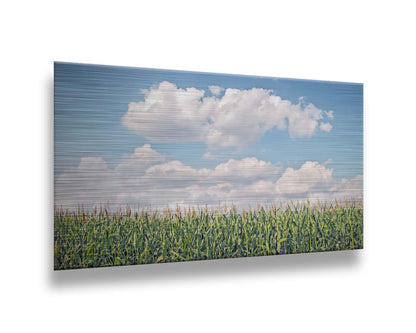 A photo of a corn field under a blue sky with fluffy white clouds. Printed on metal.