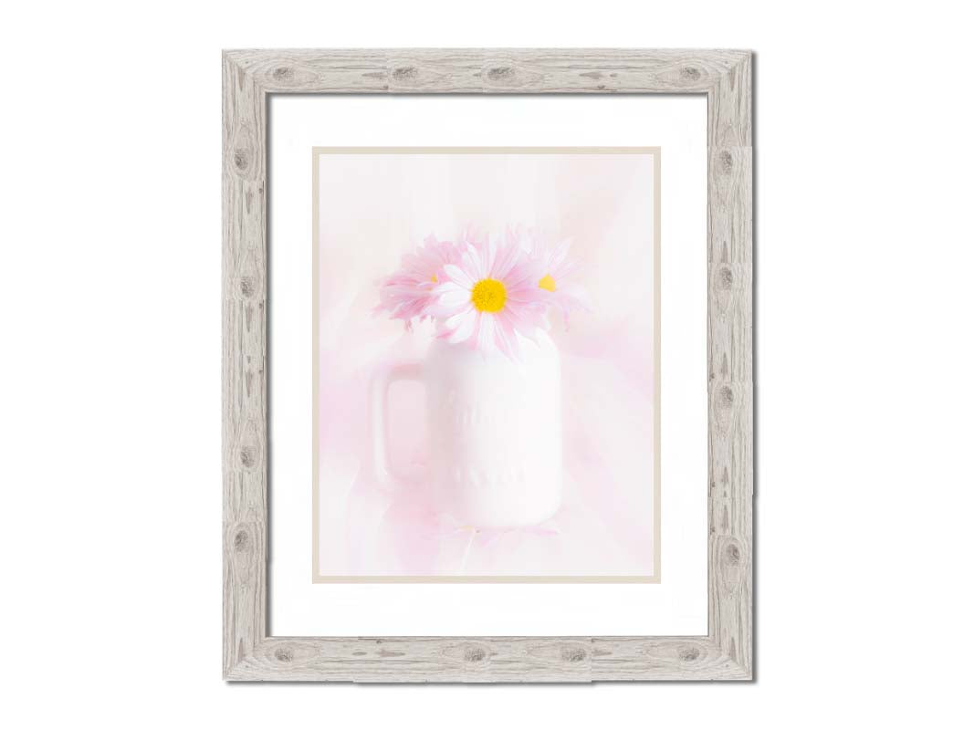 A photo of a white vase with pink daisies in a soft pink background. Printed on paper, matted, and framed.