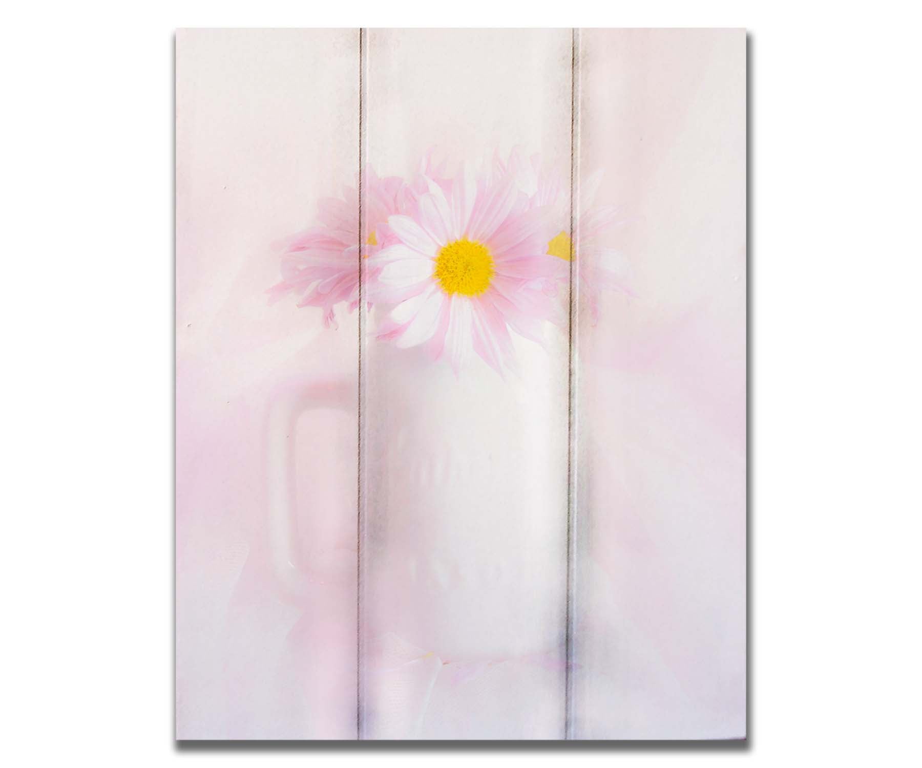 A photo of a white vase with pink daisies in a soft pink background. Printed on a box board.