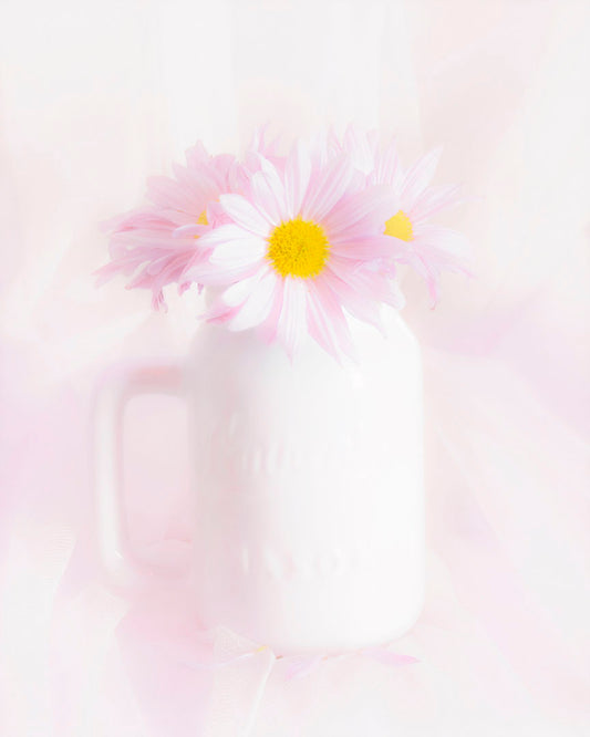 A photo of a white vase with pink daisies in a soft pink background. 