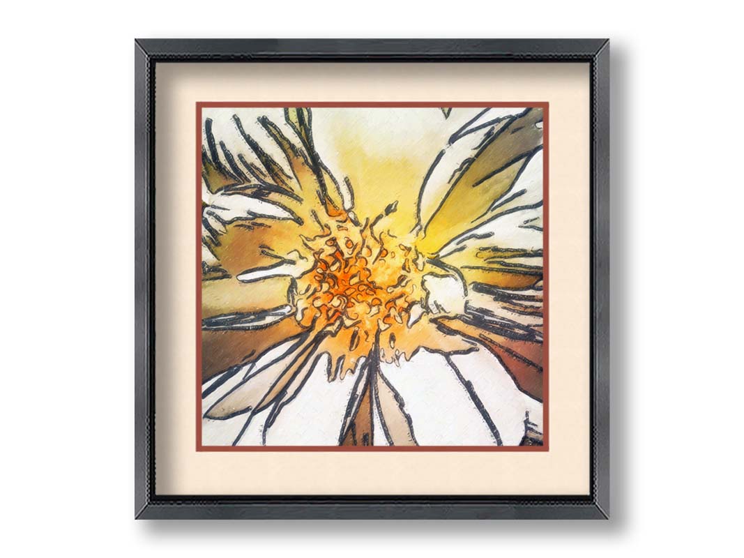 A photograph of a daisy close-up edited in a sharp, graphic style. Printed on paper, matted, and framed.