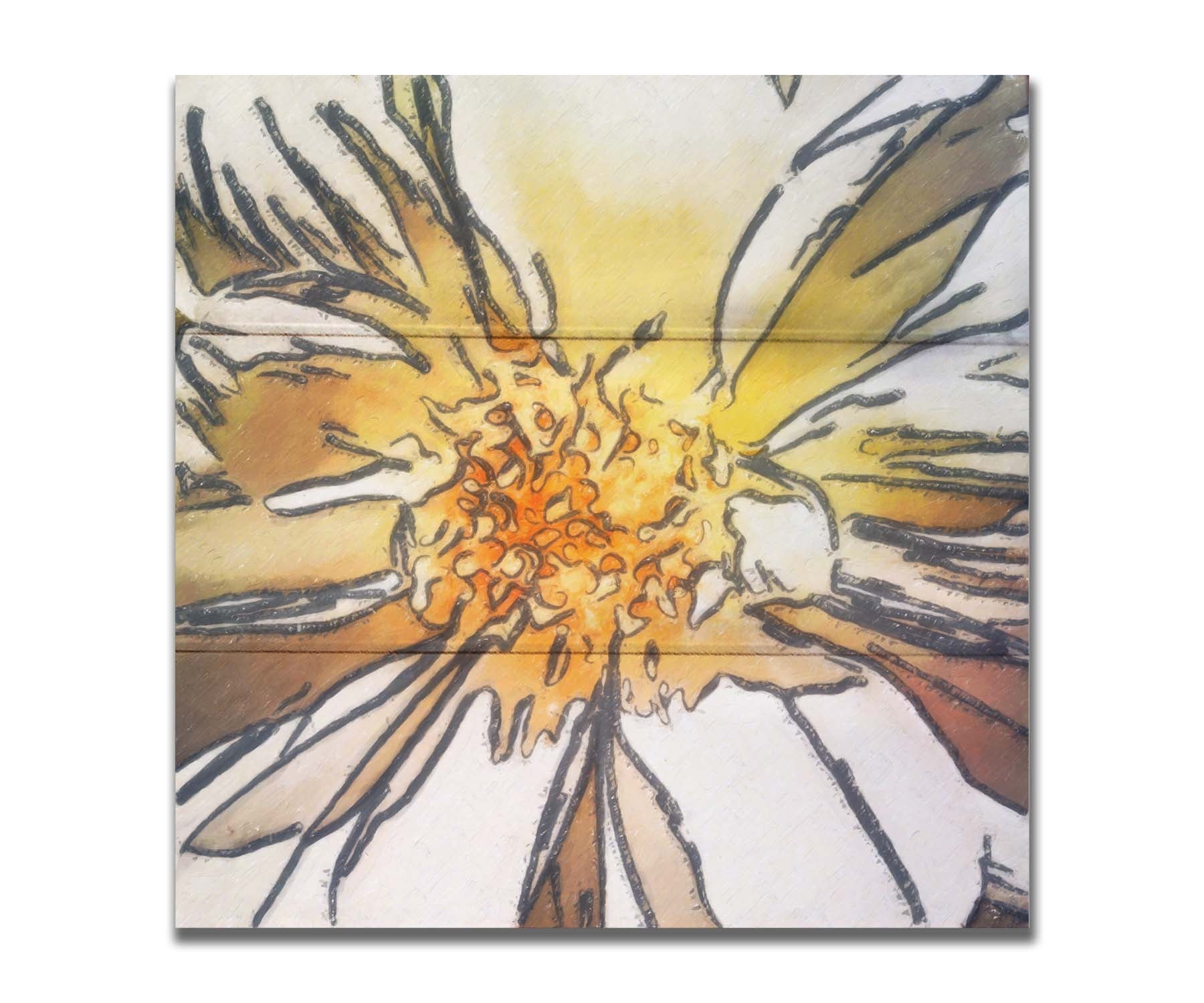 A photograph of a daisy close-up edited in a sharp, graphic style. Printed on a box board.