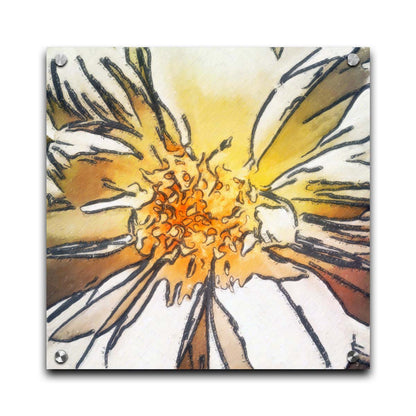 A photograph of a daisy close-up edited in a sharp, graphic style. Printed on acrylic.