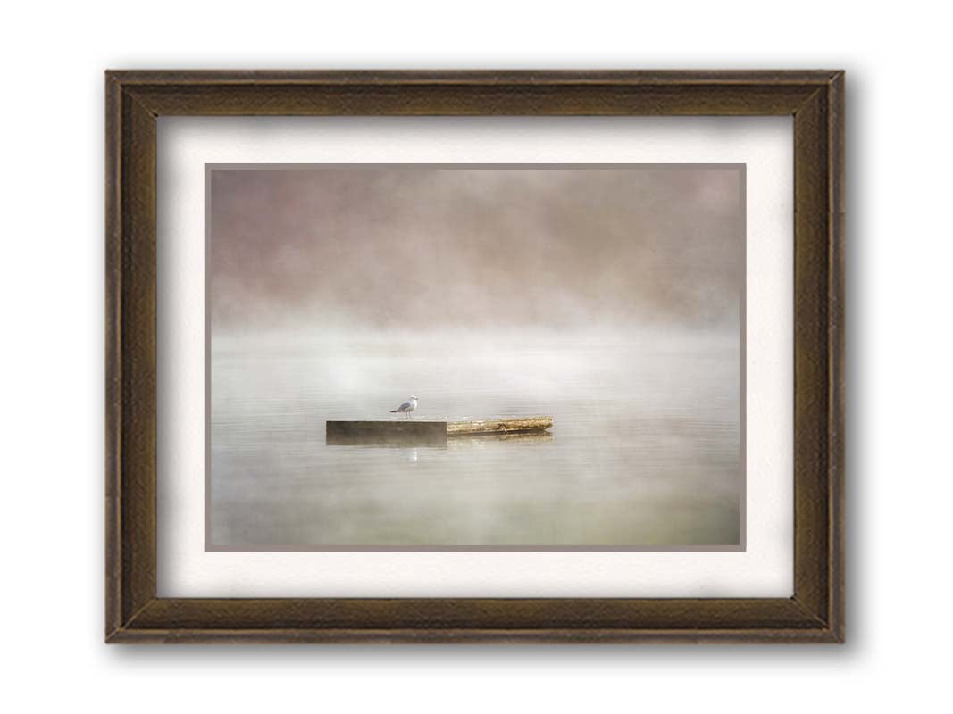 A photo of a seagull standing on a floating dock in the middle of the gray and misty waters. Printed on paper, matted, and framed.