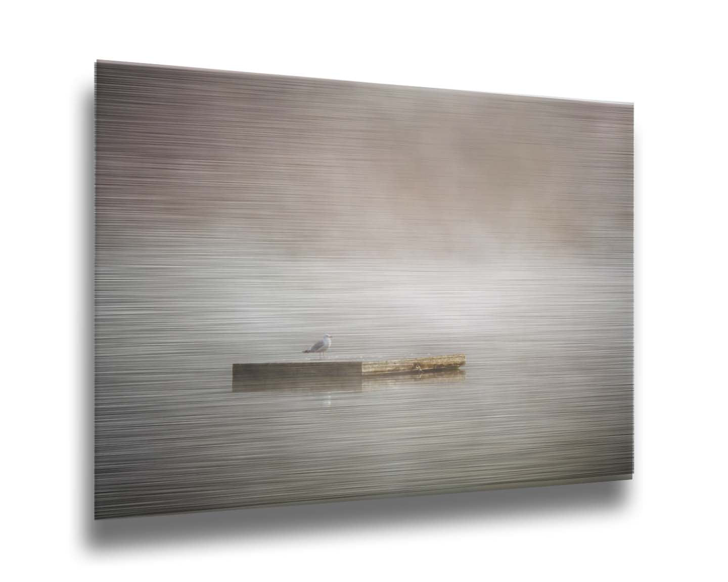 A photo of a seagull standing on a floating dock in the middle of the gray and misty waters. Printed on metal.