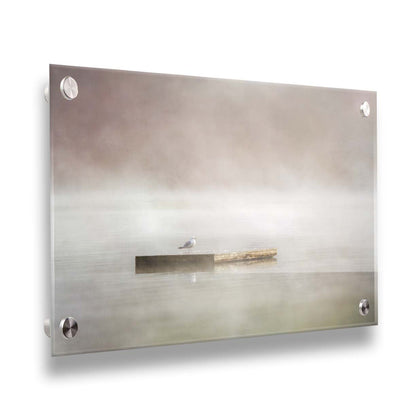 A photo of a seagull standing on a floating dock in the middle of the gray and misty waters. Printed on acrylic.