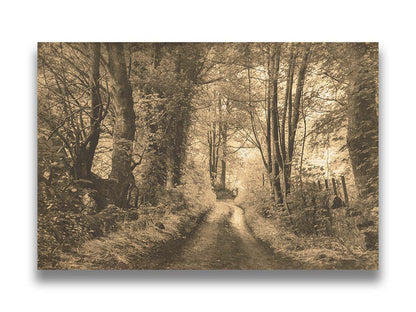 A photo of a dirt road through the woods, the colors edited to a sepia tone. Printed on canvas.