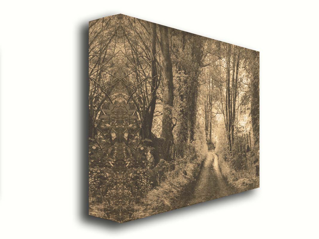 A photo of a dirt road through the woods, the colors edited to a sepia tone. Printed on canvas.