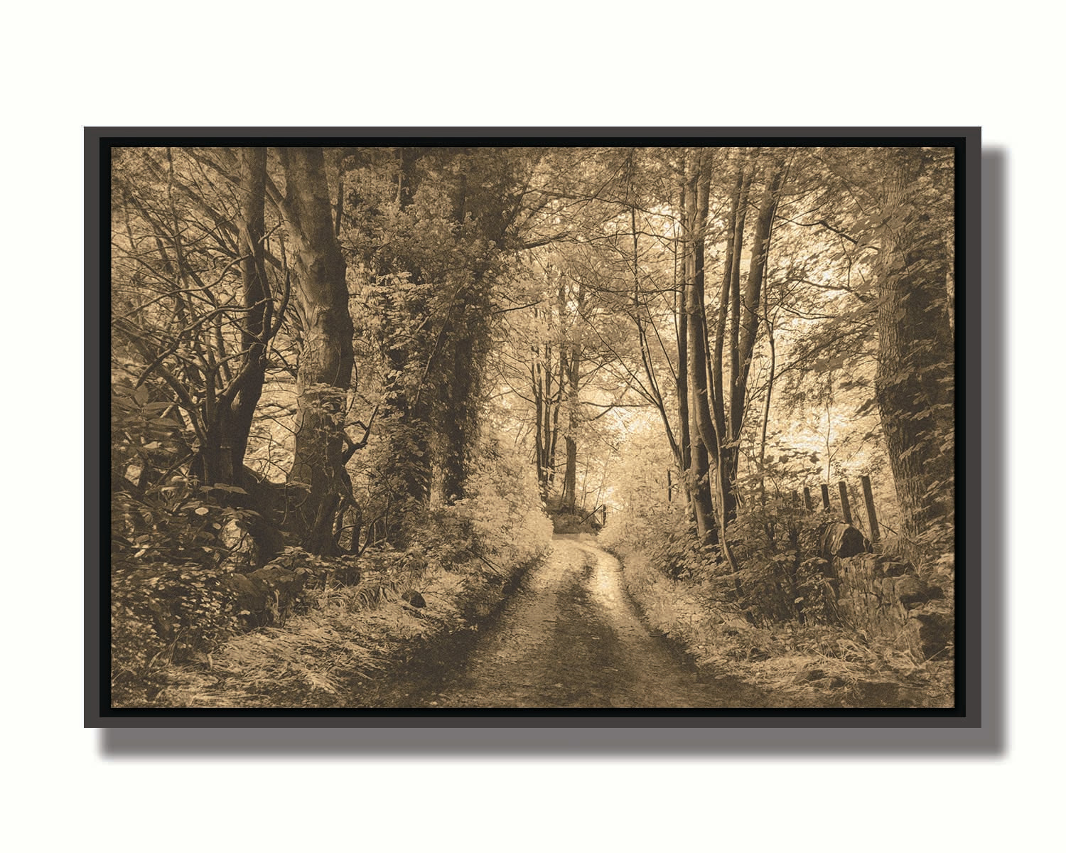 A photo of a dirt road through the woods, the colors edited to a sepia tone. Printed on canvas in a float frame.