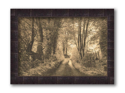 A photo of a dirt road through the woods, the colors edited to a sepia tone. Printed on canvas and framed.