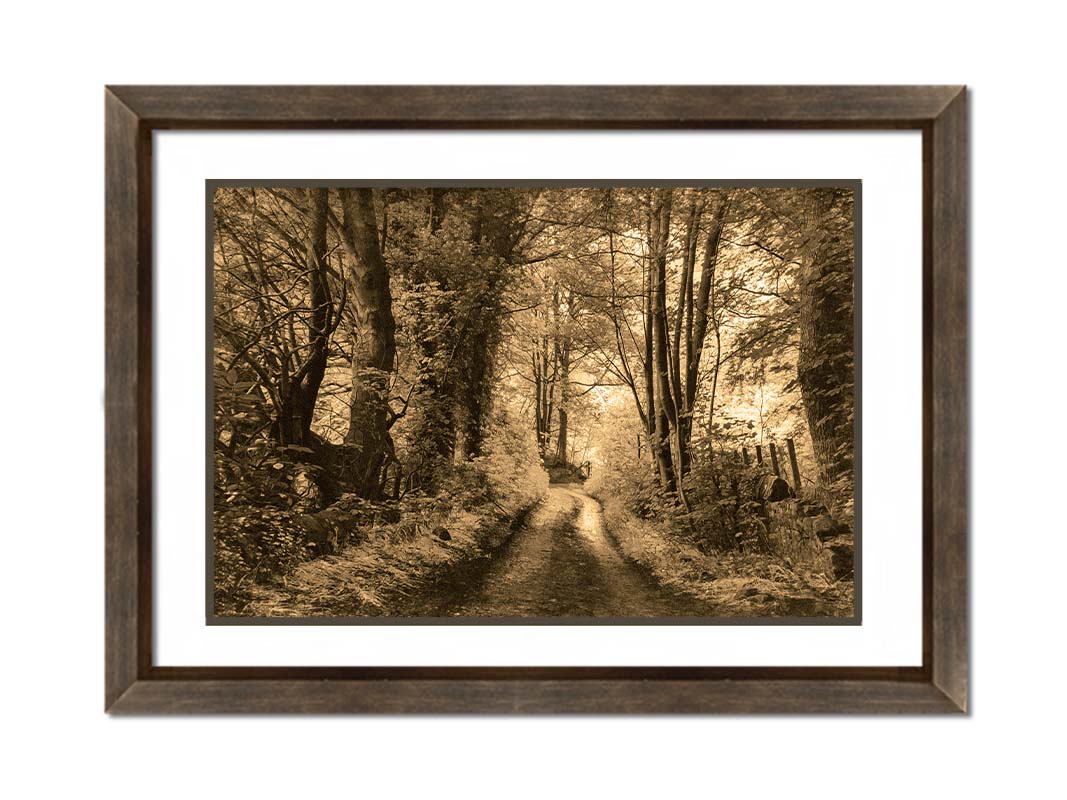 A photo of a dirt road through the woods, the colors edited to a sepia tone. Printed on paper, matted, and framed.