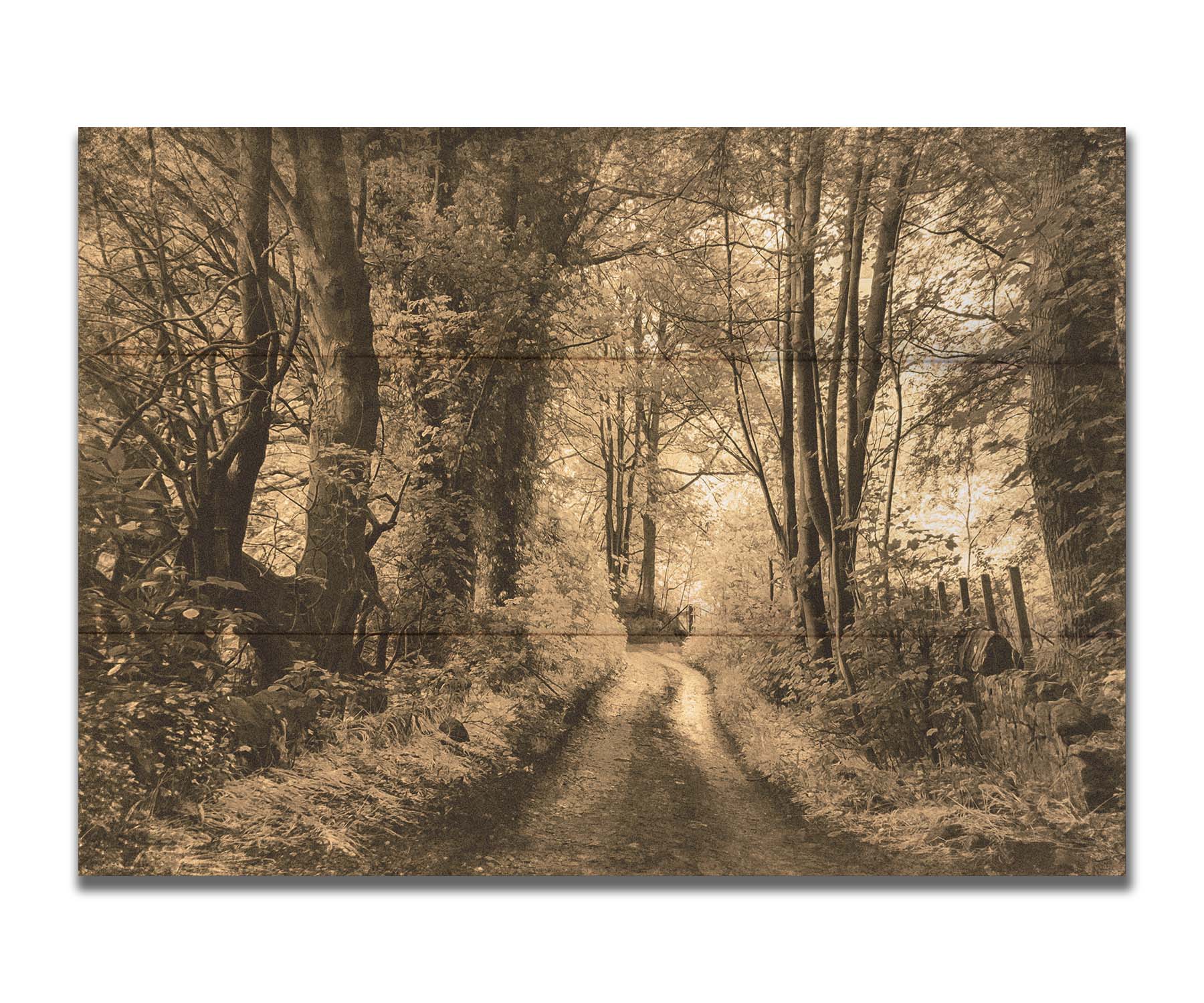 A photo of a dirt road through the woods, the colors edited to a sepia tone. Printed on a box board.