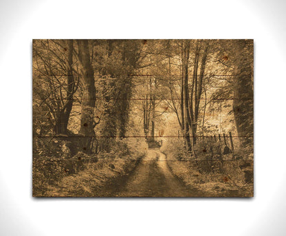 A photo of a dirt road through the woods, the colors edited to a sepia tone. Printed on a wood pallet.