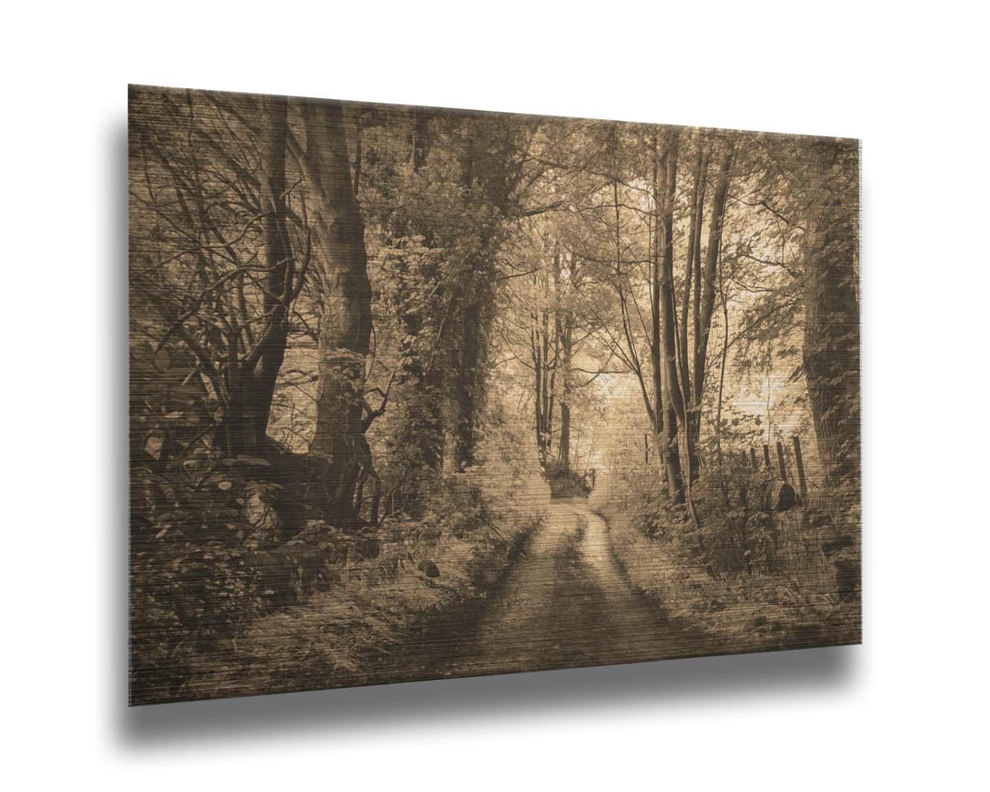 A photo of a dirt road through the woods, the colors edited to a sepia tone. Printed on metal.