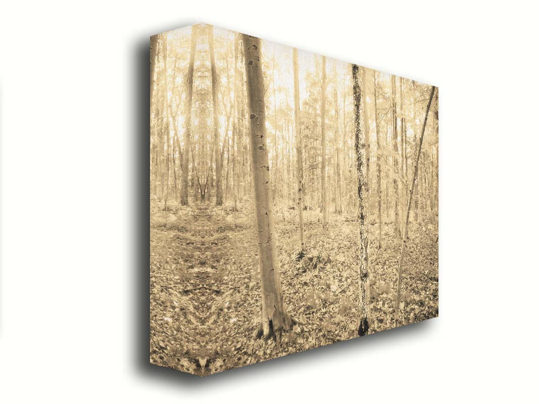 A photo of a forest in the fallwith leaves covering the ground, in a sepia tone. Printed on canvas.