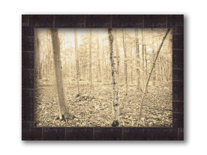 A photo of a forest in the fallwith leaves covering the ground, in a sepia tone. Printed on canvas and framed.