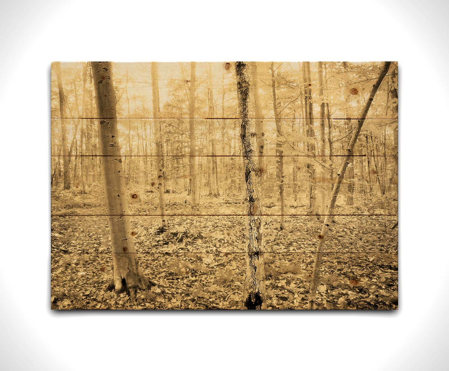 A photo of a forest in the fallwith leaves covering the ground, in a sepia tone. Printed on a wood pallet.