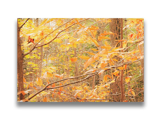 A photo close-up on tree branches covered in orange and yellow leaves. Printed on canvas.