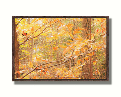 A photo close-up on tree branches covered in orange and yellow leaves. Printed on canvas in a float frame.