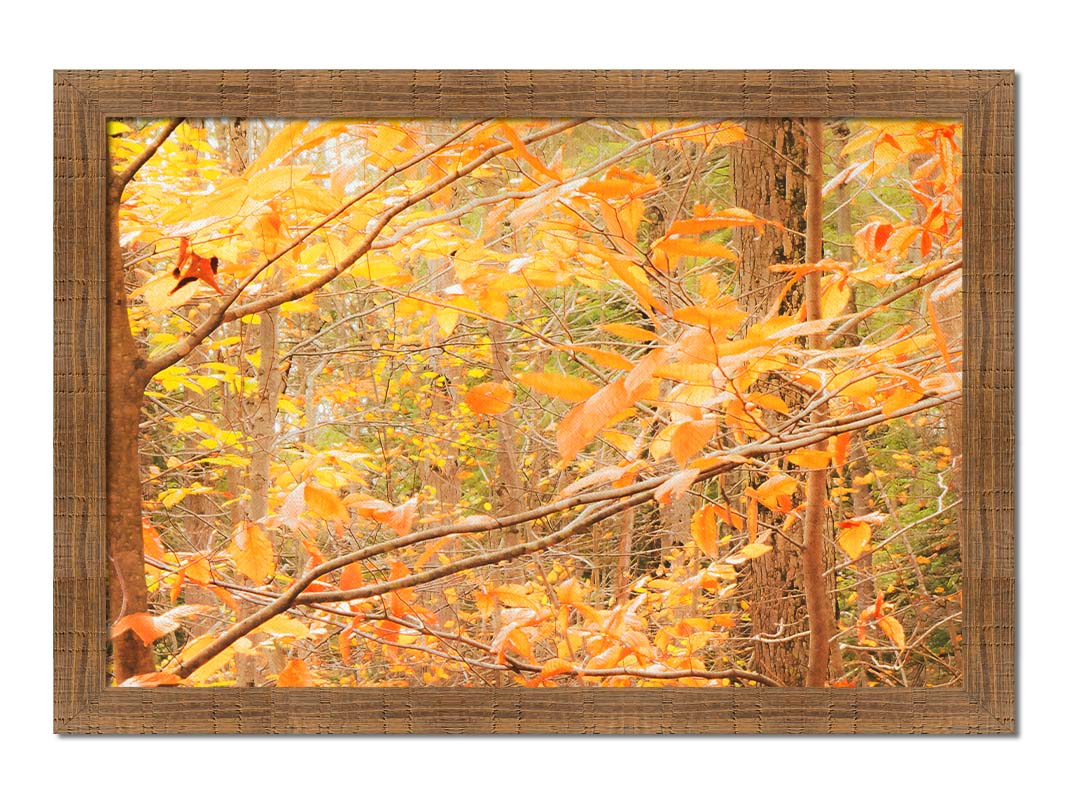 A photo close-up on tree branches covered in orange and yellow leaves. Printed on canvas and framed.