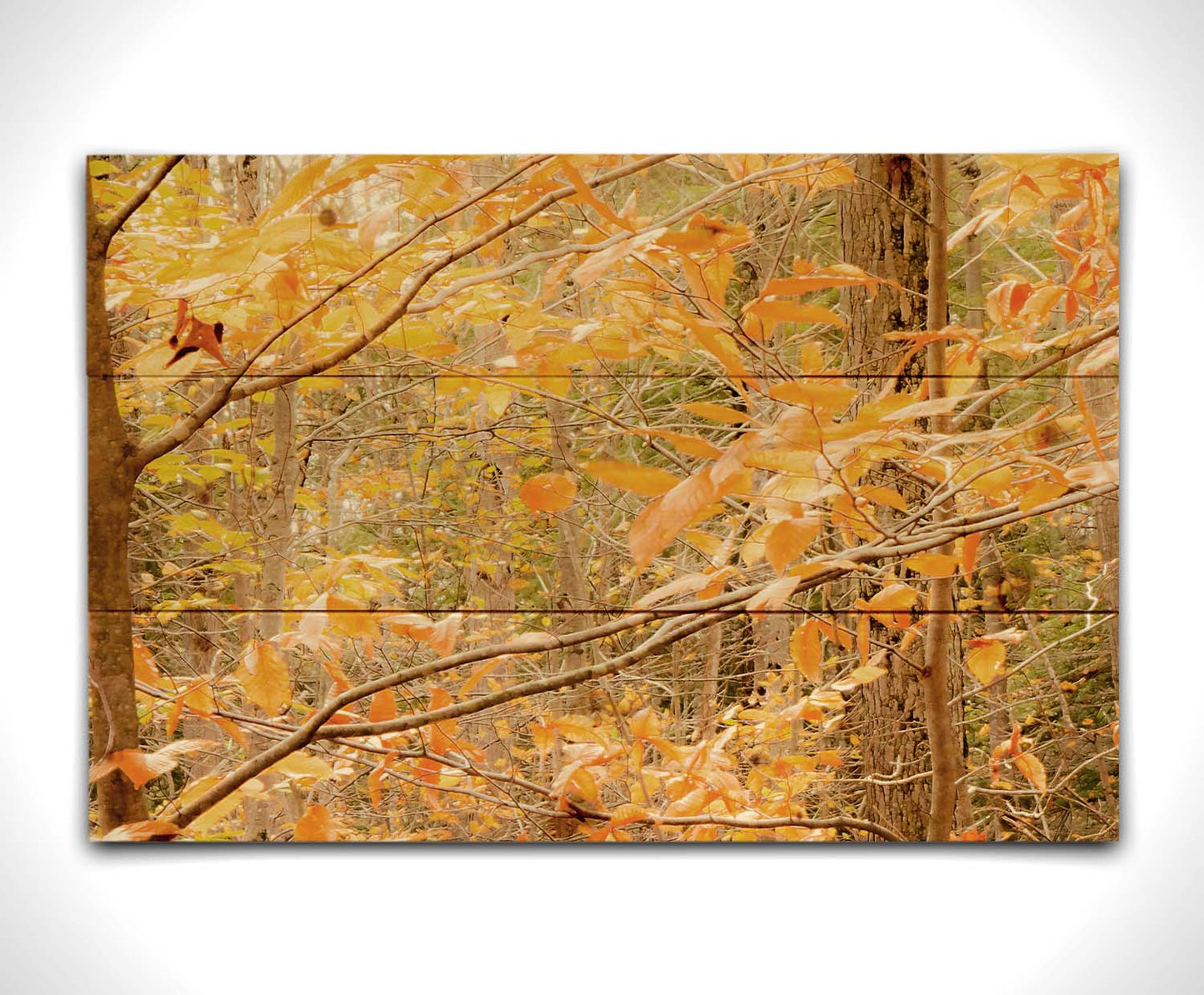 A photo close-up on tree branches covered in orange and yellow leaves. Printed on a wood pallet.