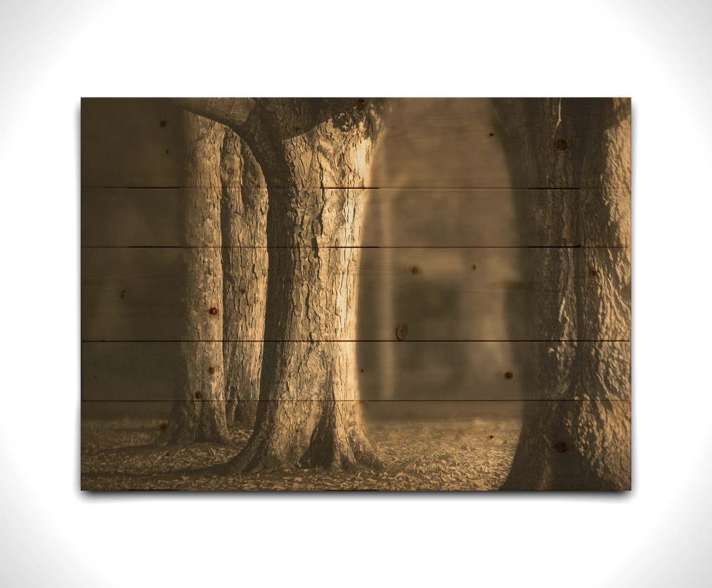 A photo of a forest of wide trees in sepia tone, with leaves covering the ground. Printed on a wood pallet.