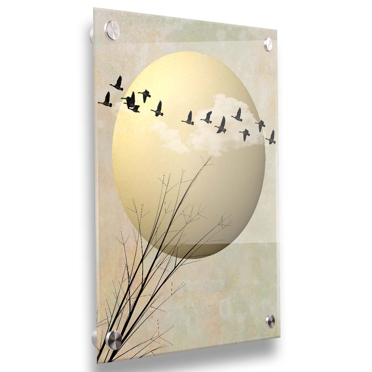 A photo collage art piece of migratory birds flying south for the winter, silhouetted against a big gold moon. Printed on acrylic.