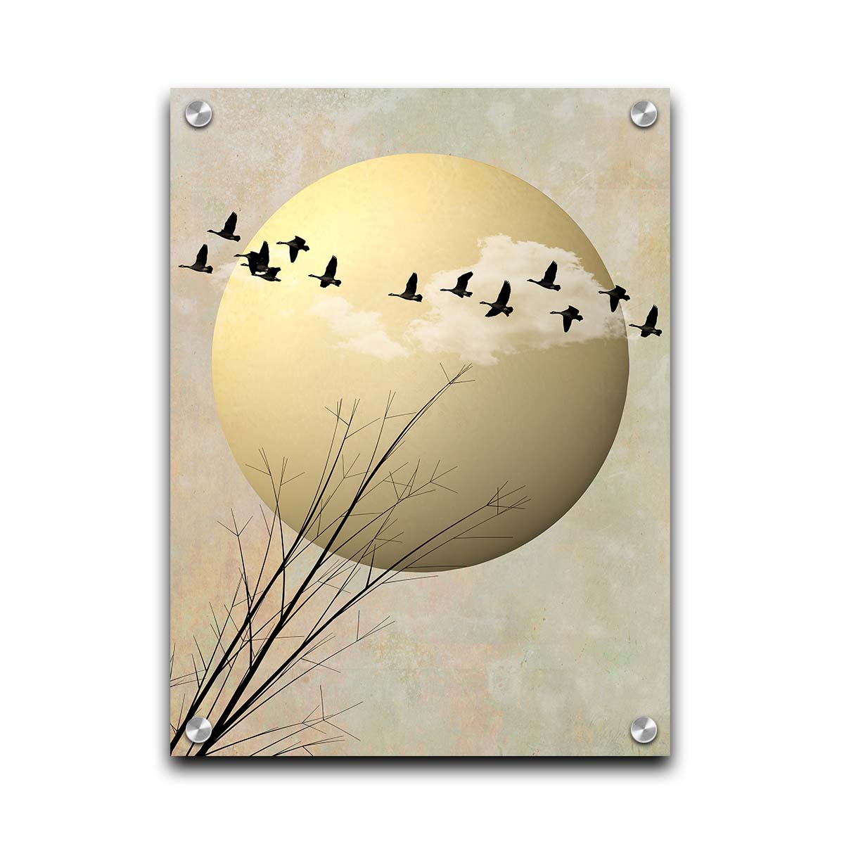 A photo collage art piece of migratory birds flying south for the winter, silhouetted against a big gold moon. Printed on acrylic.