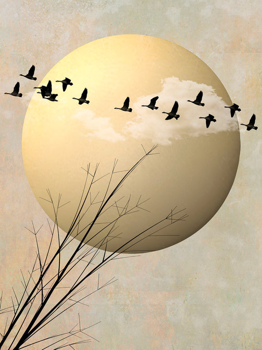 A photo collage art piece of migratory birds flying south for the winter, silhouetted against a big gold moon. 
