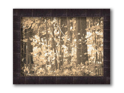 A sepia photo of a forest in autumn. Printed on canvas and framed.