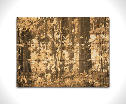 A sepia photo of a forest in autumn. Printed on a wood pallet.