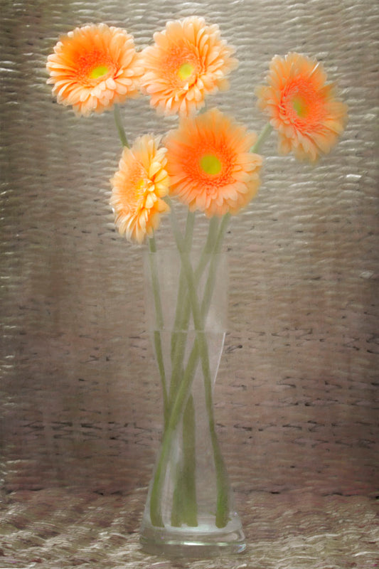 A photo of orange daisies in a vase, sitting in a woven basket.