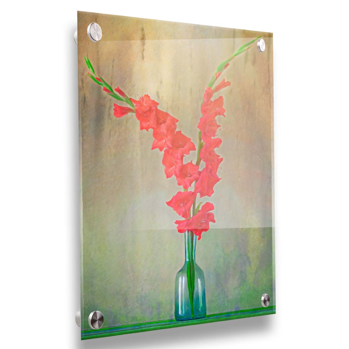 A photo of two red gladiolus flower spikes in a small blue vase. Printed on acrylic.