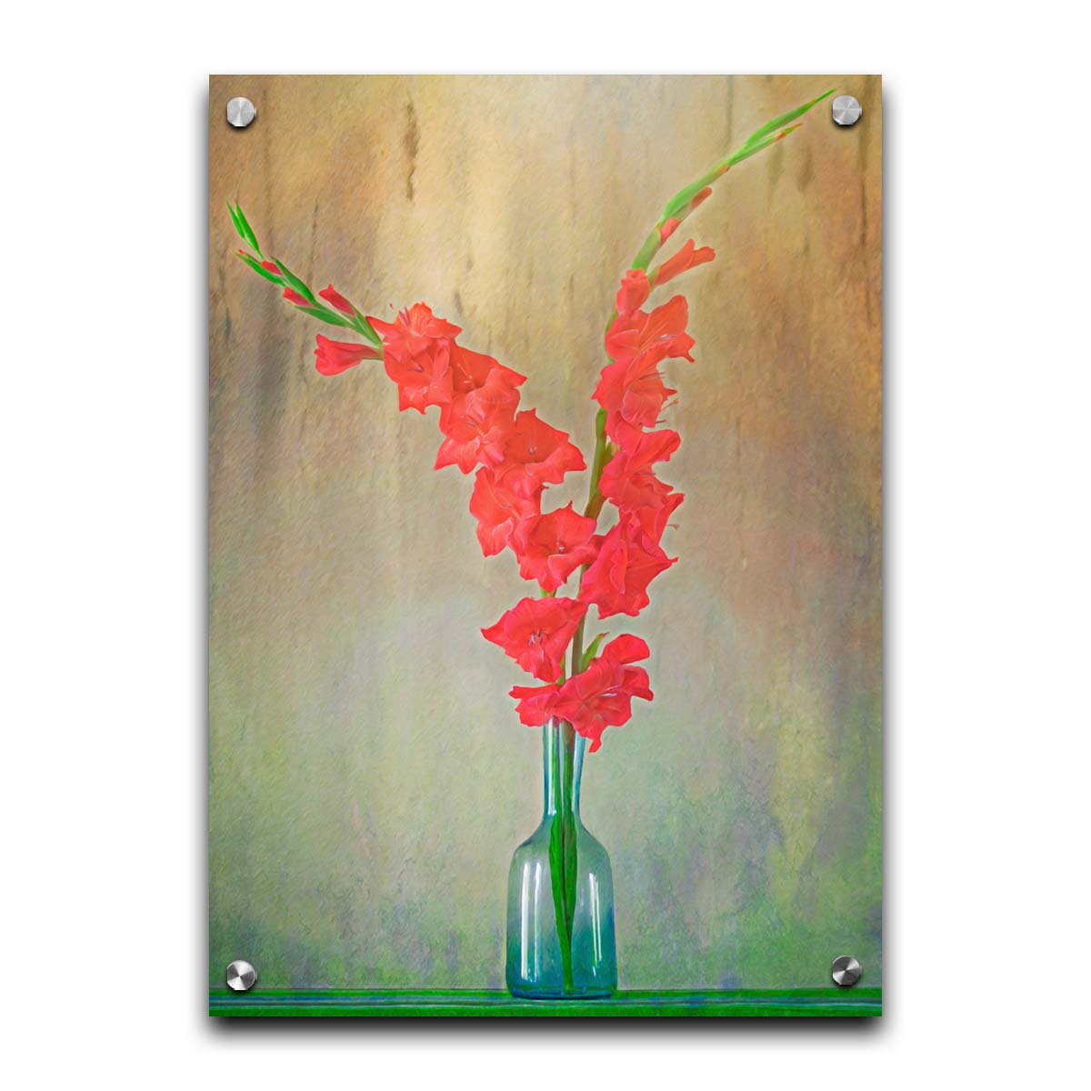 A photo of two red gladiolus flower spikes in a small blue vase. Printed on acrylic.