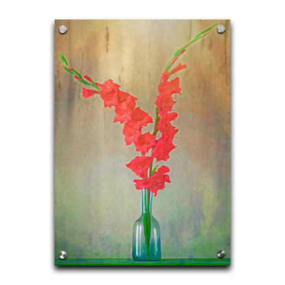 A photo of two red gladiolus flower spikes in a small blue vase. Printed on acrylic.