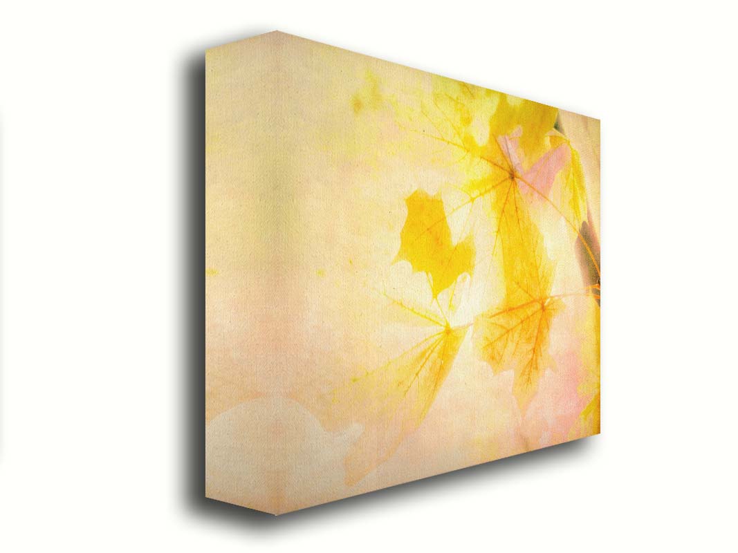 A photo of a stem of yellow leaves, brightly lit from behind. Printed on canvas.