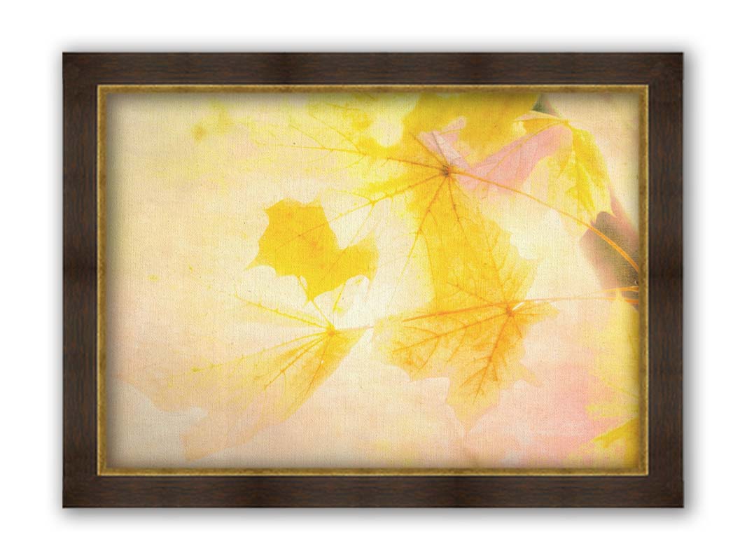 A photo of a stem of yellow leaves, brightly lit from behind. Printed on canvas and framed.